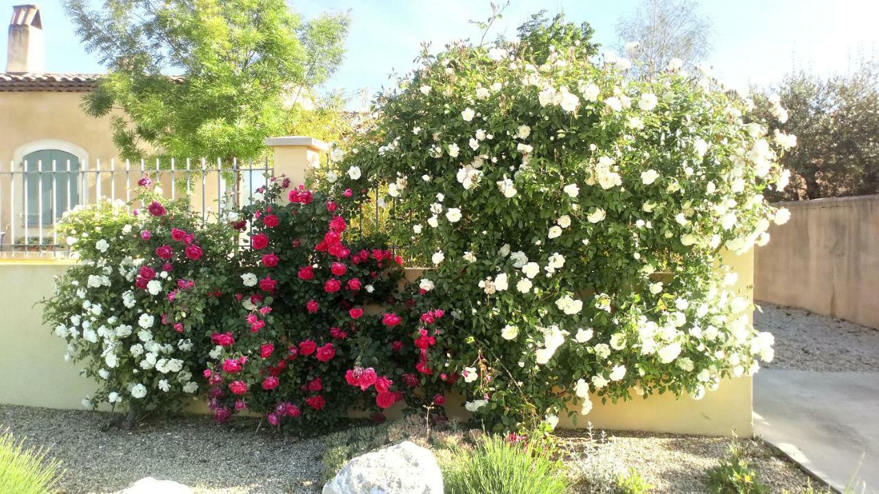 Charmant T2 climatisé avec belle vue , Golf de Pont-Royal Mallemort Extérieur photo